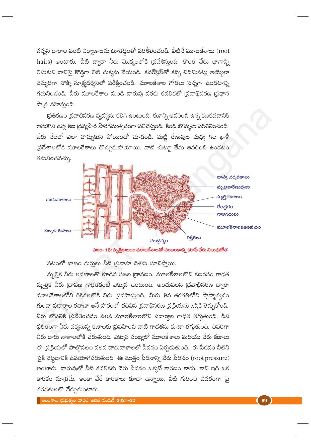 TS SCERT Class 10 Biological Science (Telugu Medium) Text Book - Page 81