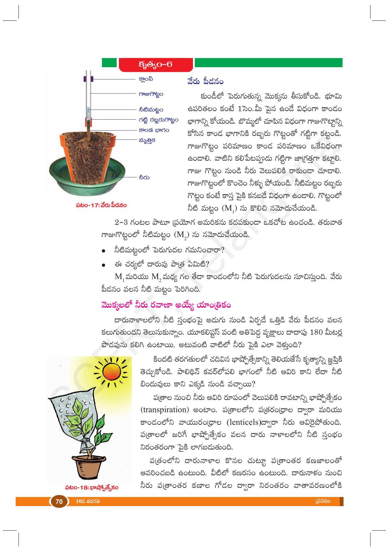 TS SCERT Class 10 Biological Science (Telugu Medium) Text Book - Page 82
