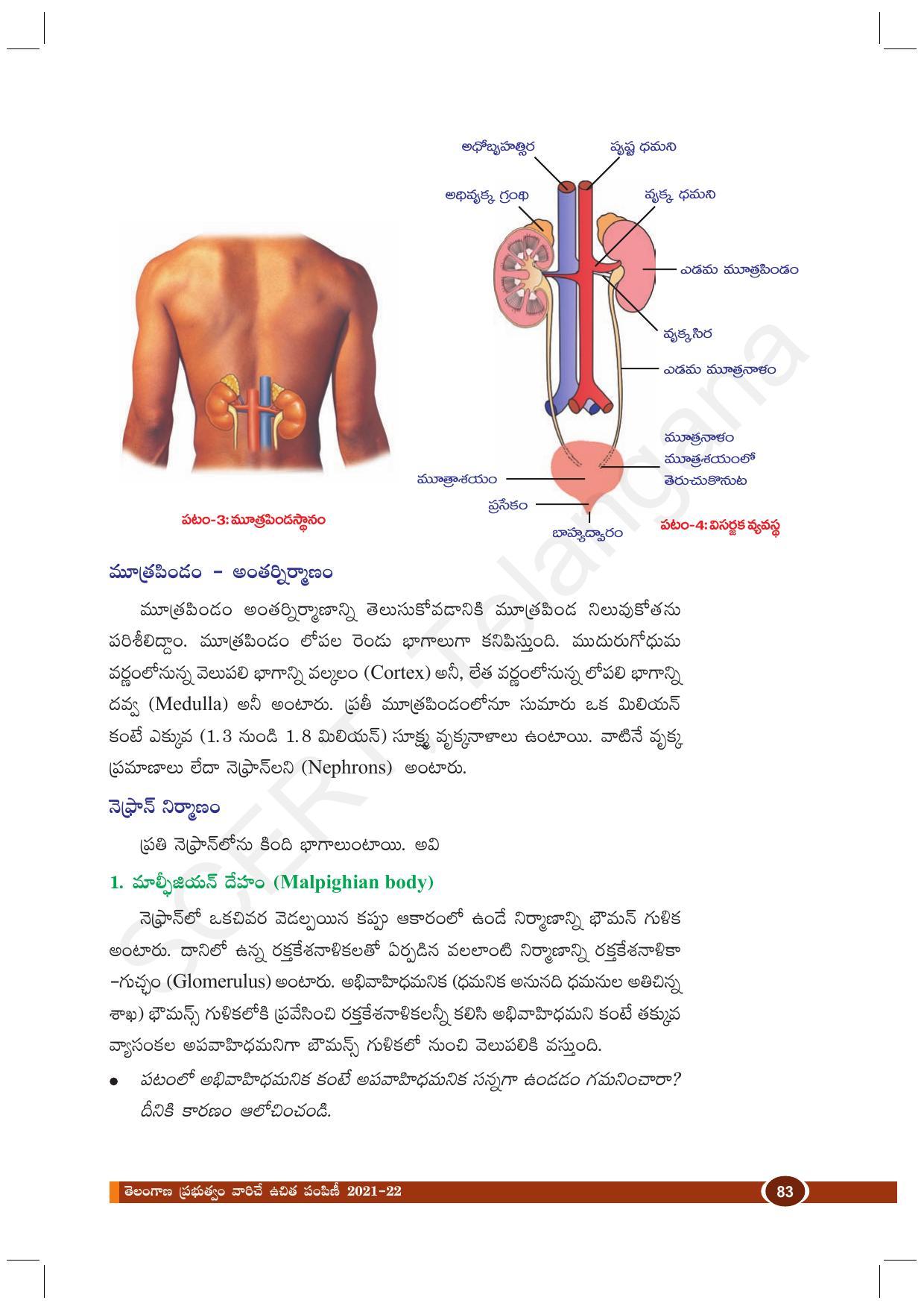 TS SCERT Class 10 Biological Science (Telugu Medium) Text Book - Page 95