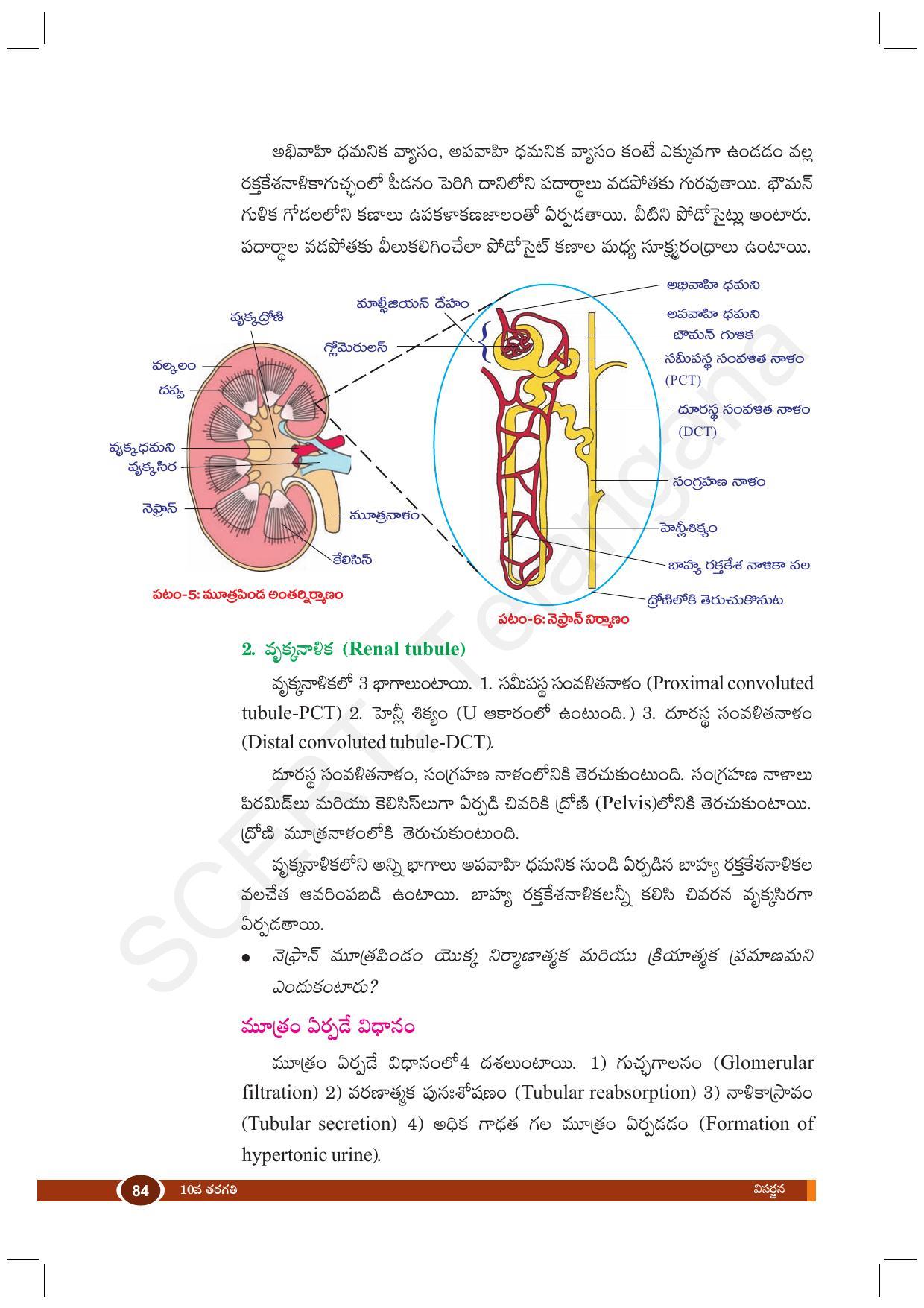 TS SCERT Class 10 Biological Science (Telugu Medium) Text Book - Page 96