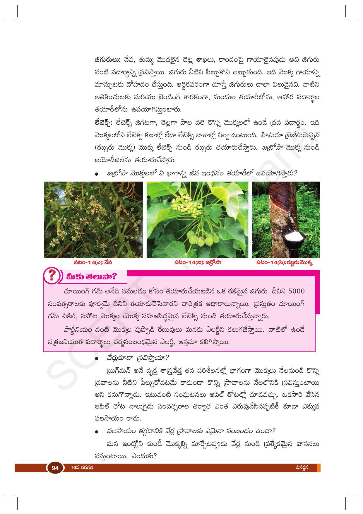 TS SCERT Class 10 Biological Science (Telugu Medium) Text Book - Page 106