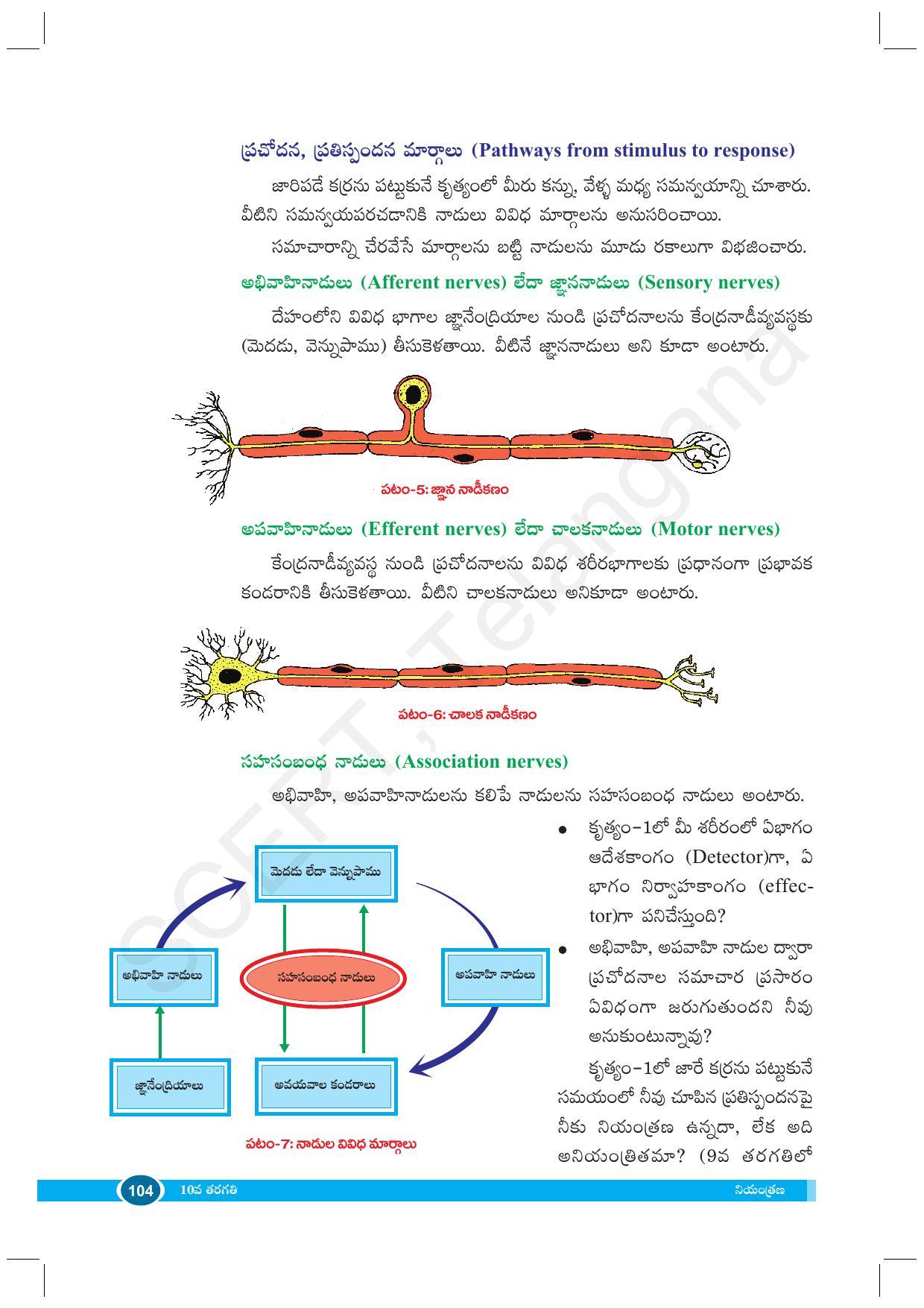 TS SCERT Class 10 Biological Science (Telugu Medium) Text Book - Page 116