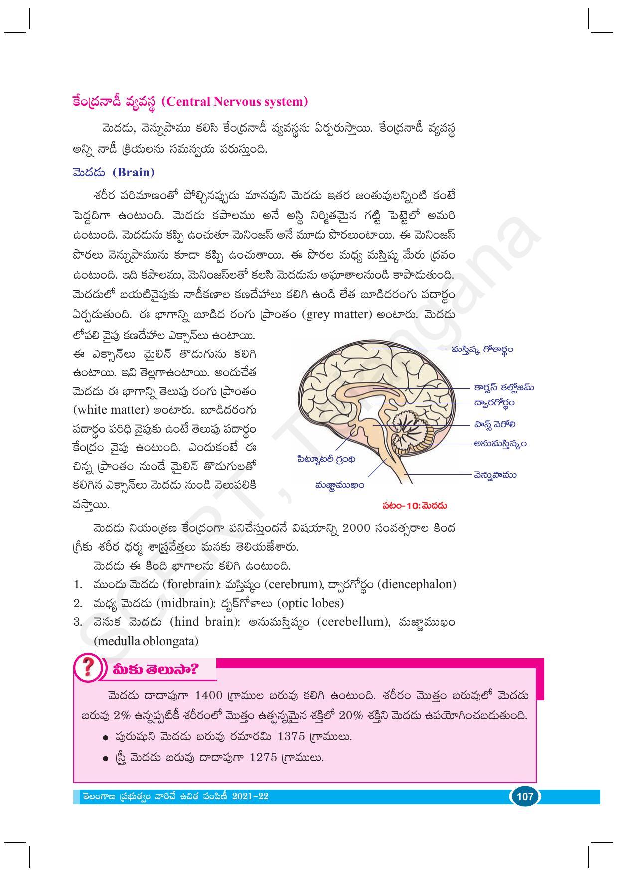 TS SCERT Class 10 Biological Science (Telugu Medium) Text Book - Page 119