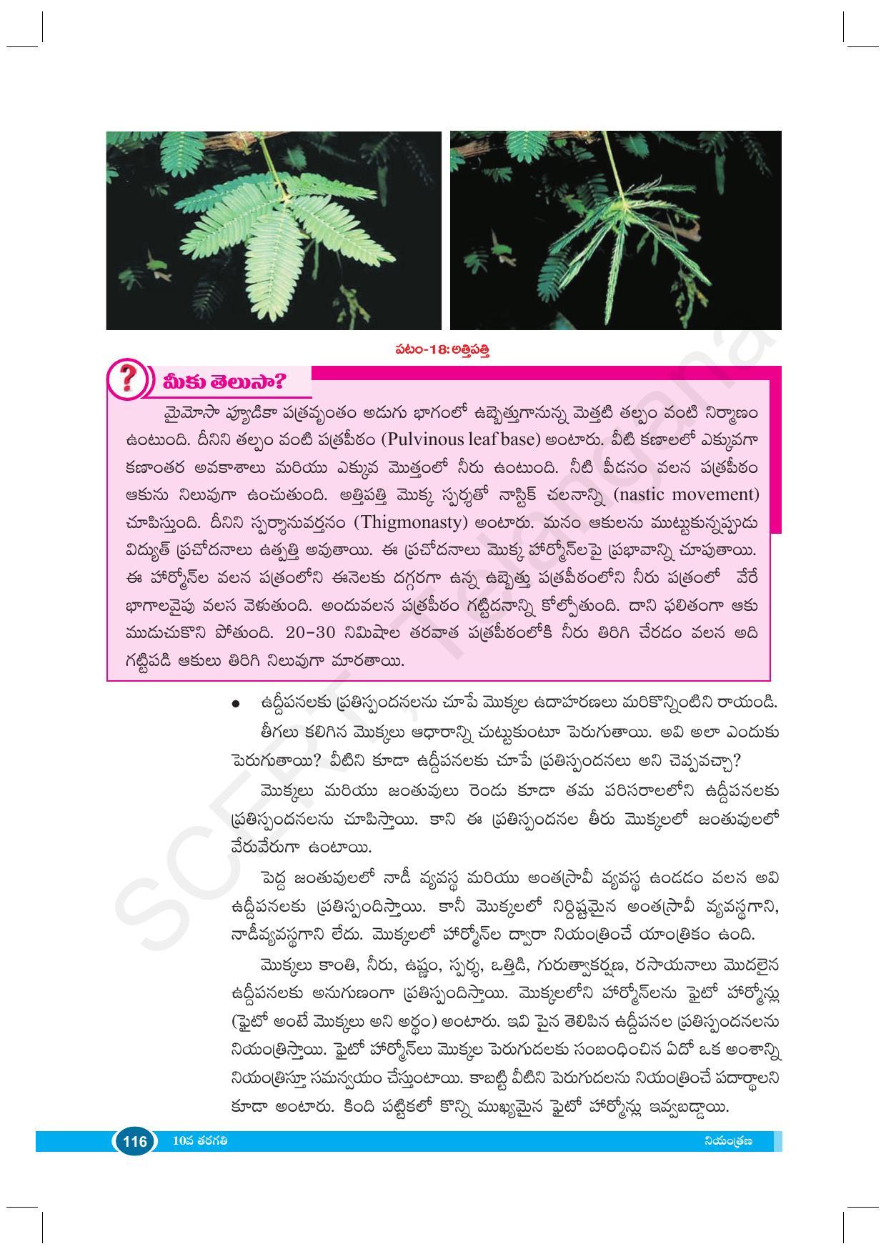 TS SCERT Class 10 Biological Science (Telugu Medium) Text Book - Page 128