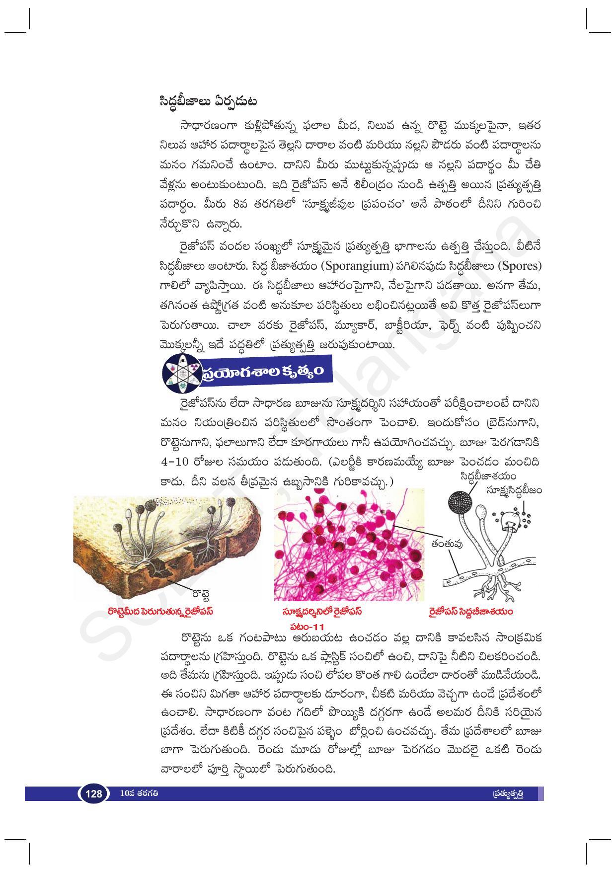 TS SCERT Class 10 Biological Science (Telugu Medium) Text Book - Page 140