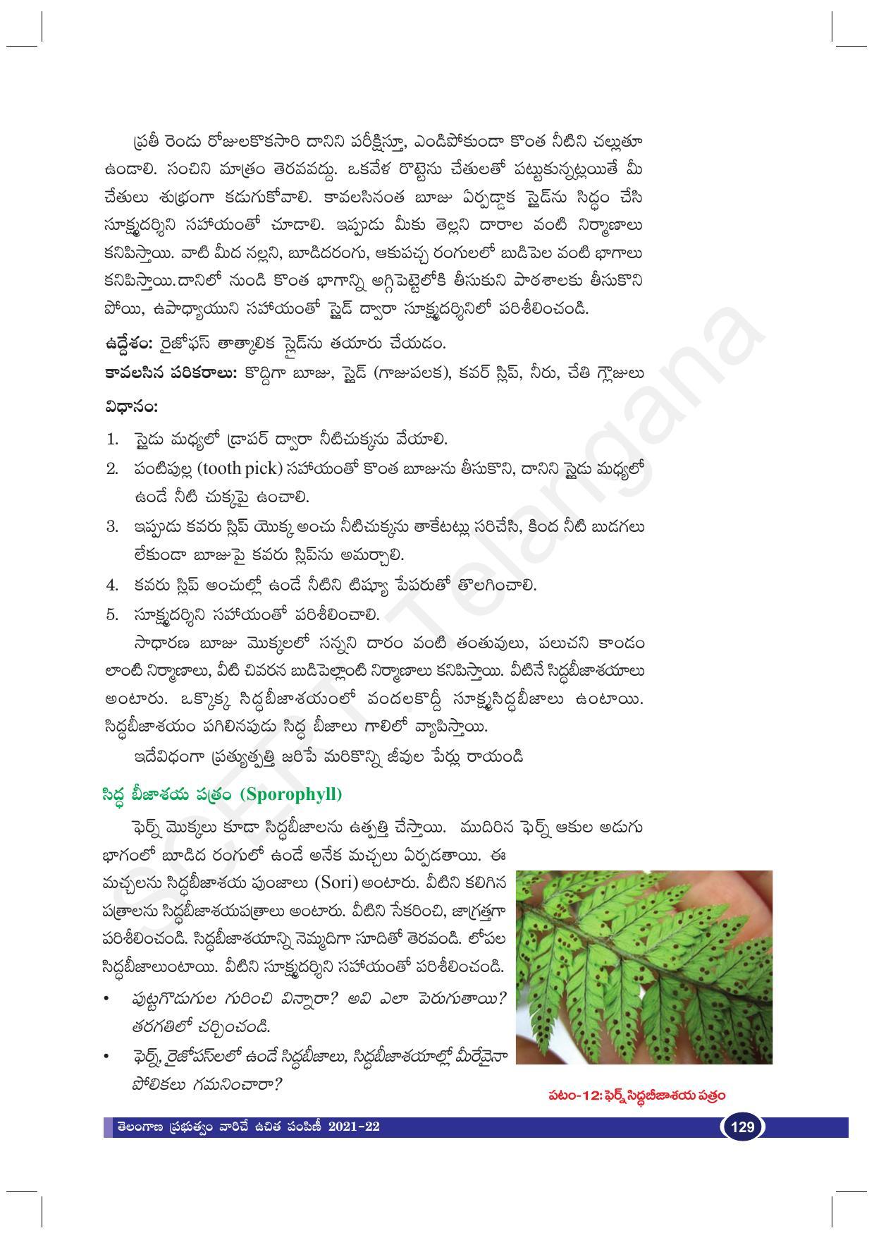 TS SCERT Class 10 Biological Science (Telugu Medium) Text Book - Page 141