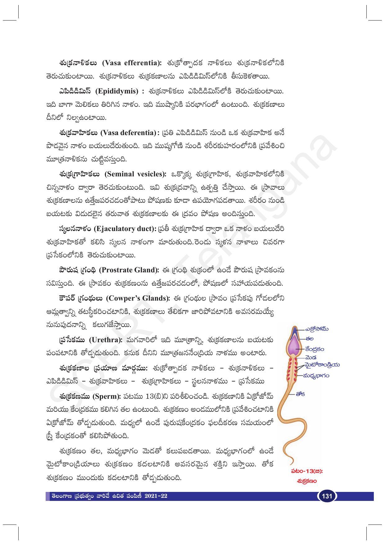 TS SCERT Class 10 Biological Science (Telugu Medium) Text Book - Page 143
