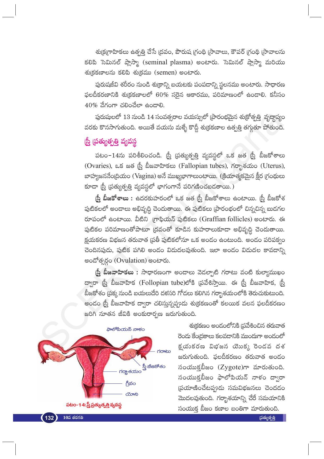 TS SCERT Class 10 Biological Science (Telugu Medium) Text Book - Page 144