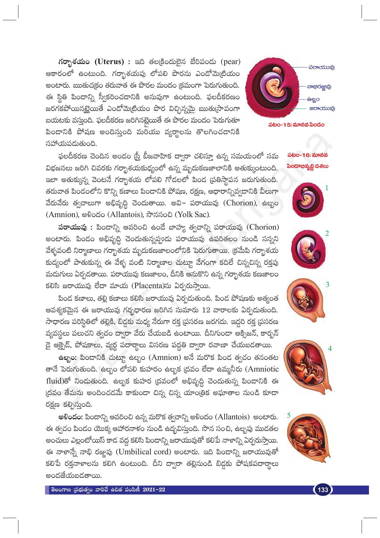 TS SCERT Class 10 Biological Science (Telugu Medium) Text Book - Page 145
