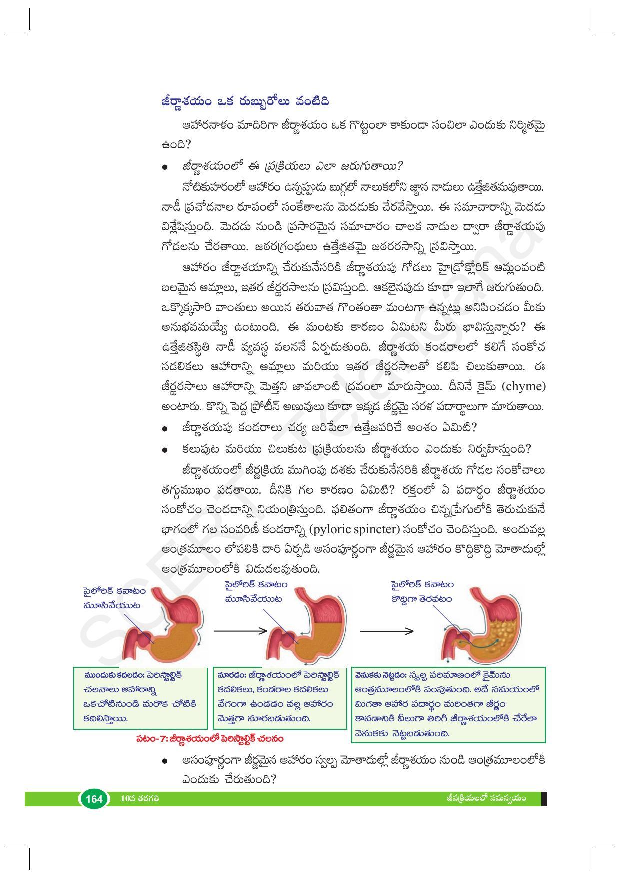TS SCERT Class 10 Biological Science (Telugu Medium) Text Book - Page 176