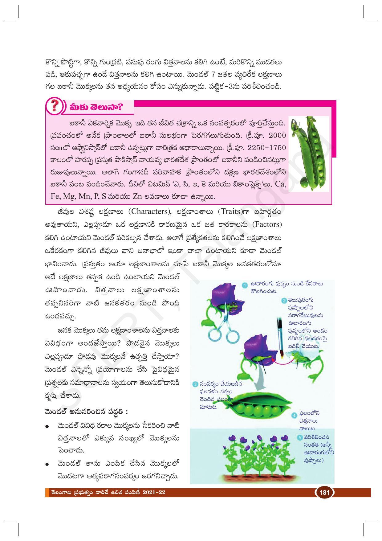 TS SCERT Class 10 Biological Science (Telugu Medium) Text Book - Page 193