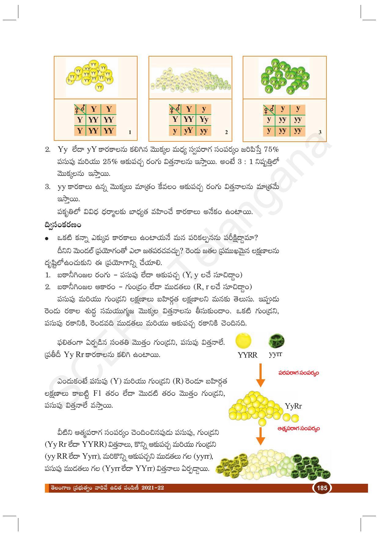 TS SCERT Class 10 Biological Science (Telugu Medium) Text Book - Page 197