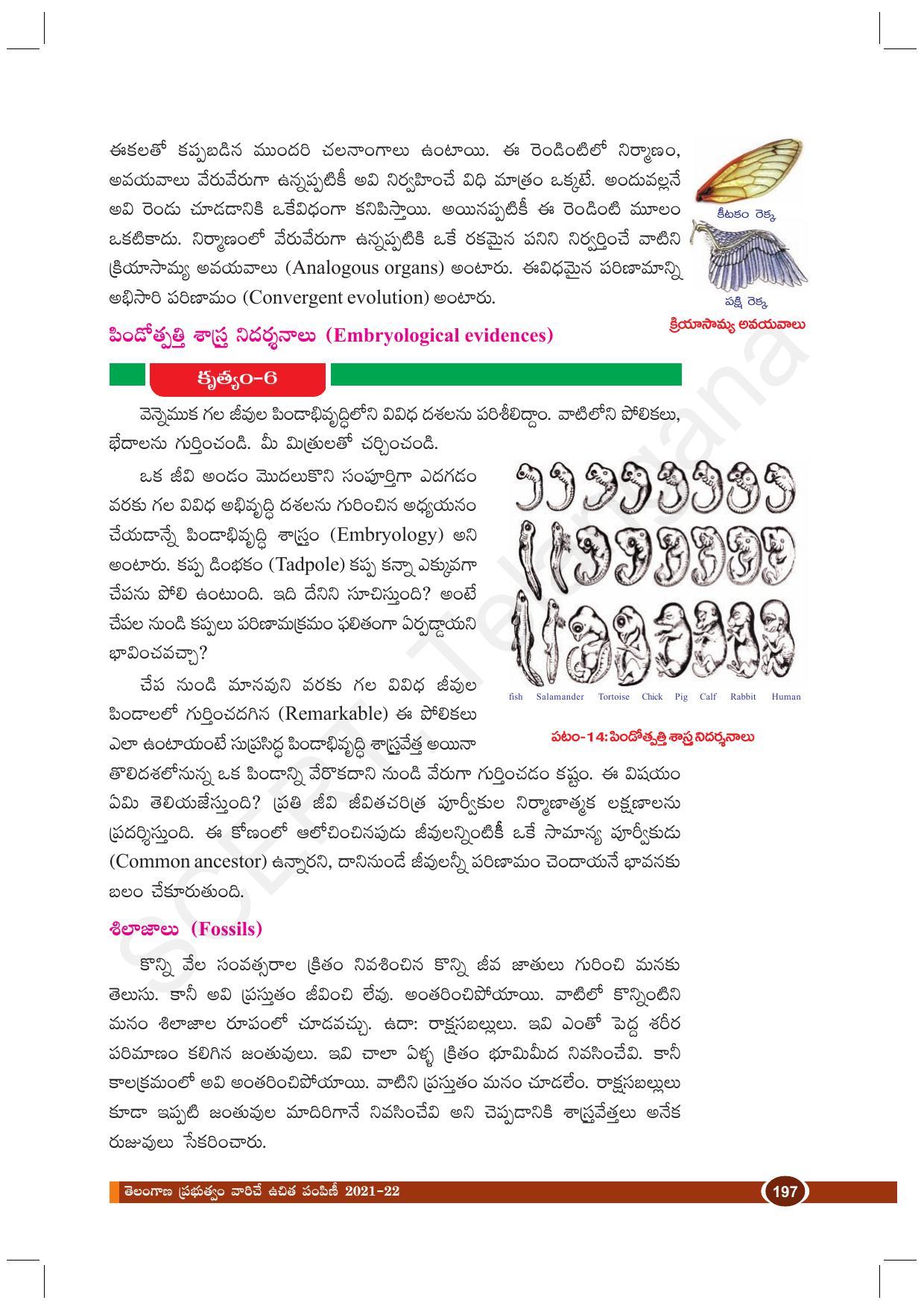 TS SCERT Class 10 Biological Science (Telugu Medium) Text Book - Page 209
