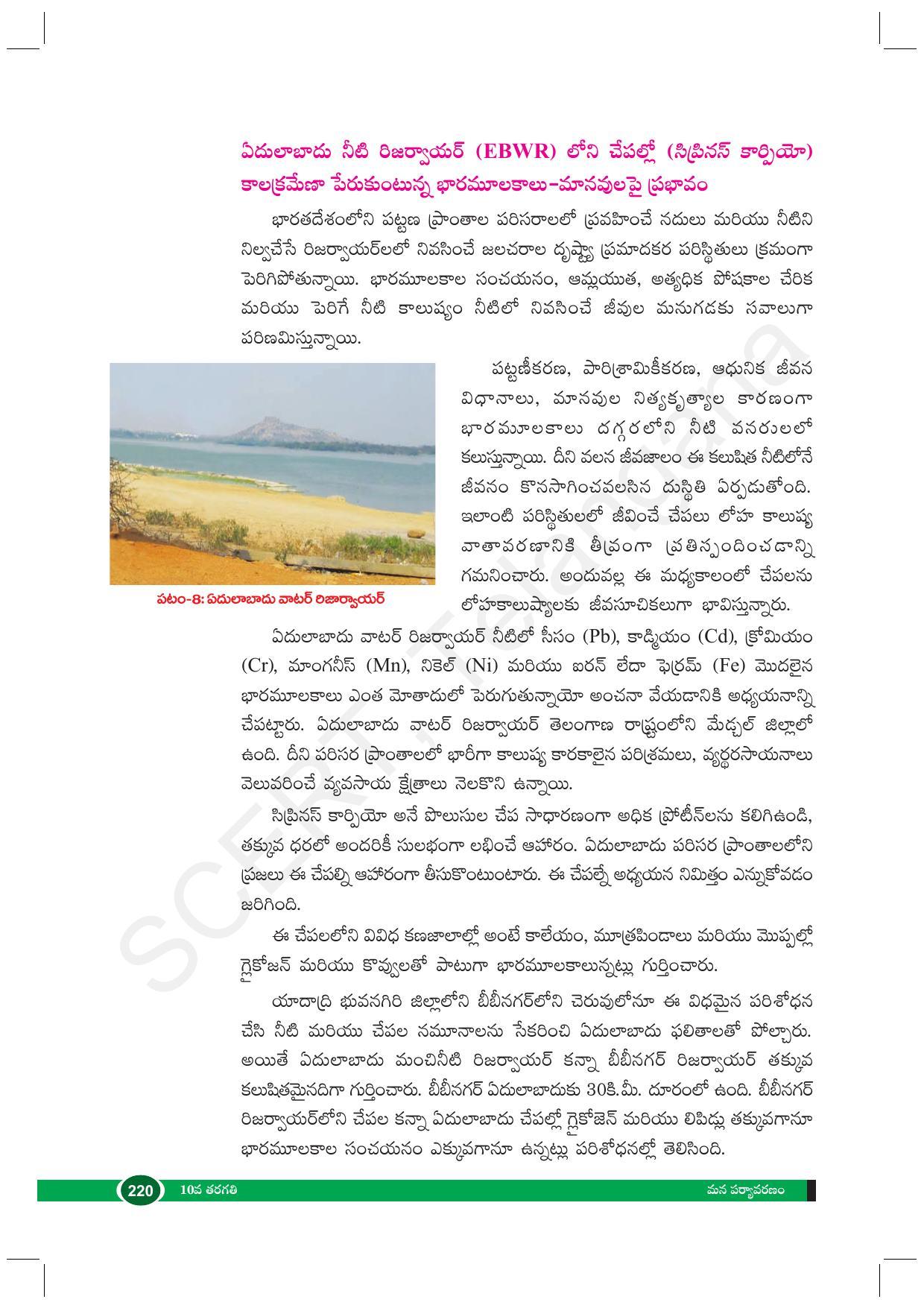 TS SCERT Class 10 Biological Science (Telugu Medium) Text Book - Page 232
