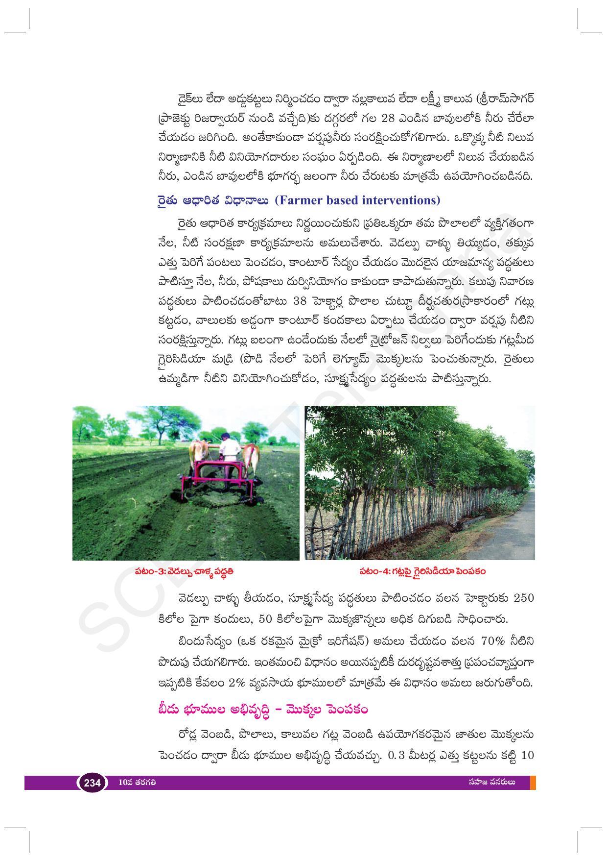 TS SCERT Class 10 Biological Science (Telugu Medium) Text Book - Page 246