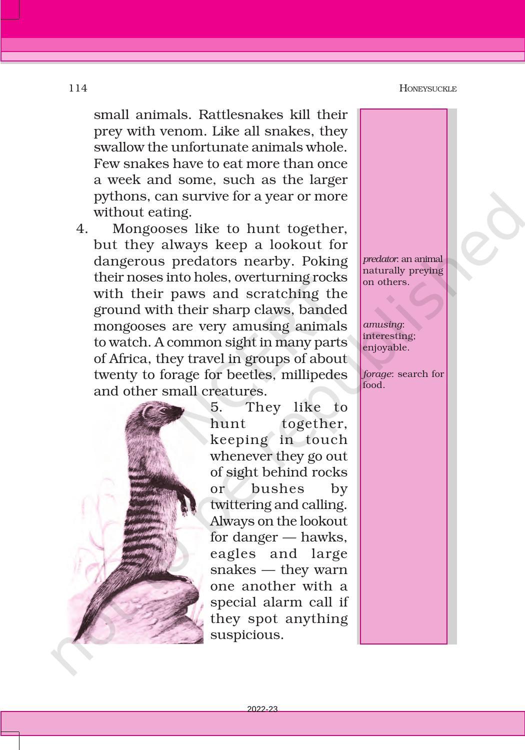 NCERT Book for Class 6 English(Honeysuckle) : Chapter 9-Desert Animals - Page 3