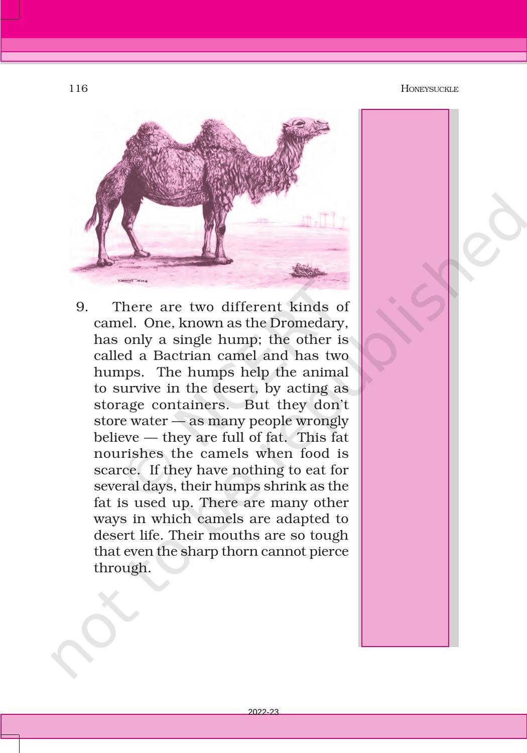NCERT Book for Class 6 English(Honeysuckle) : Chapter 9-Desert Animals - Page 5