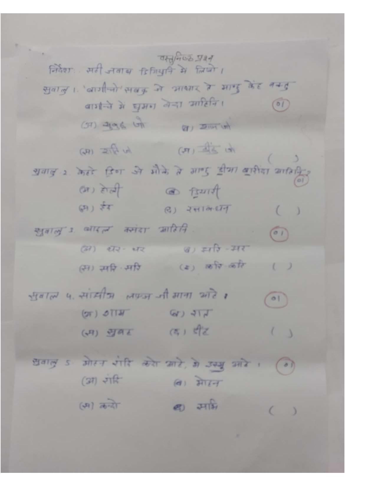 RBSE Class 5 Sample Paper Sindhi - Page 2