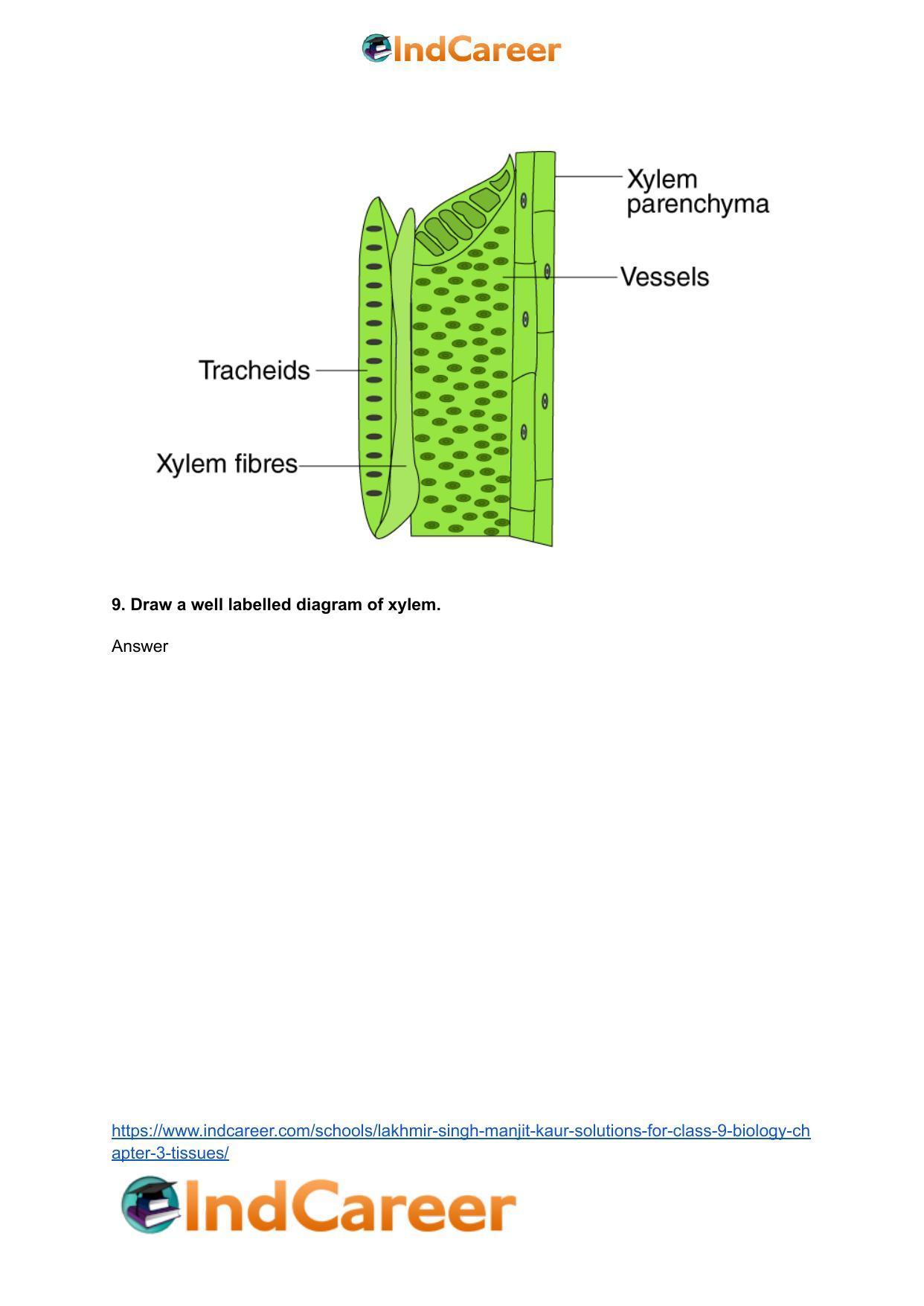 Lakhmir Singh Manjit Kaur Solutions for Class 9 Biology: Chapter 3- Tissues - Page 5