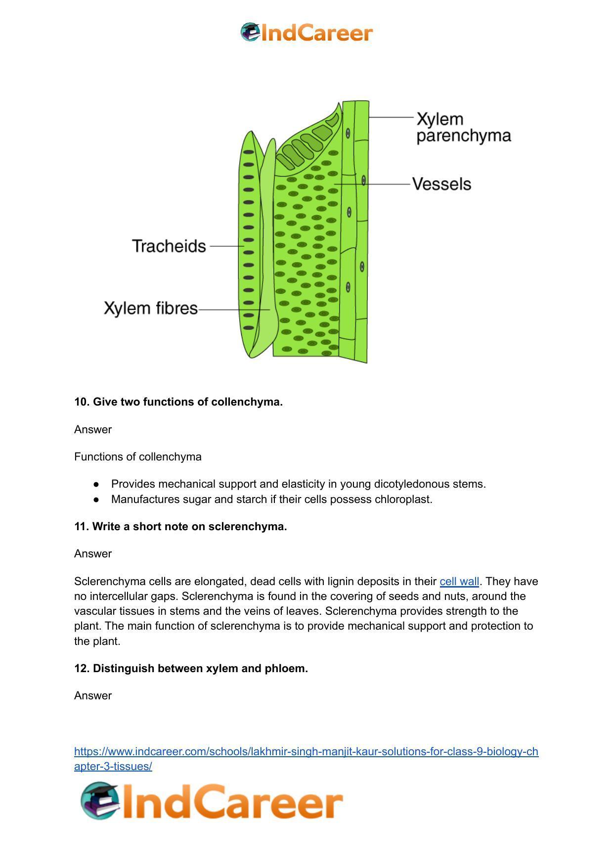 Lakhmir Singh Manjit Kaur Solutions for Class 9 Biology: Chapter 3- Tissues - Page 6