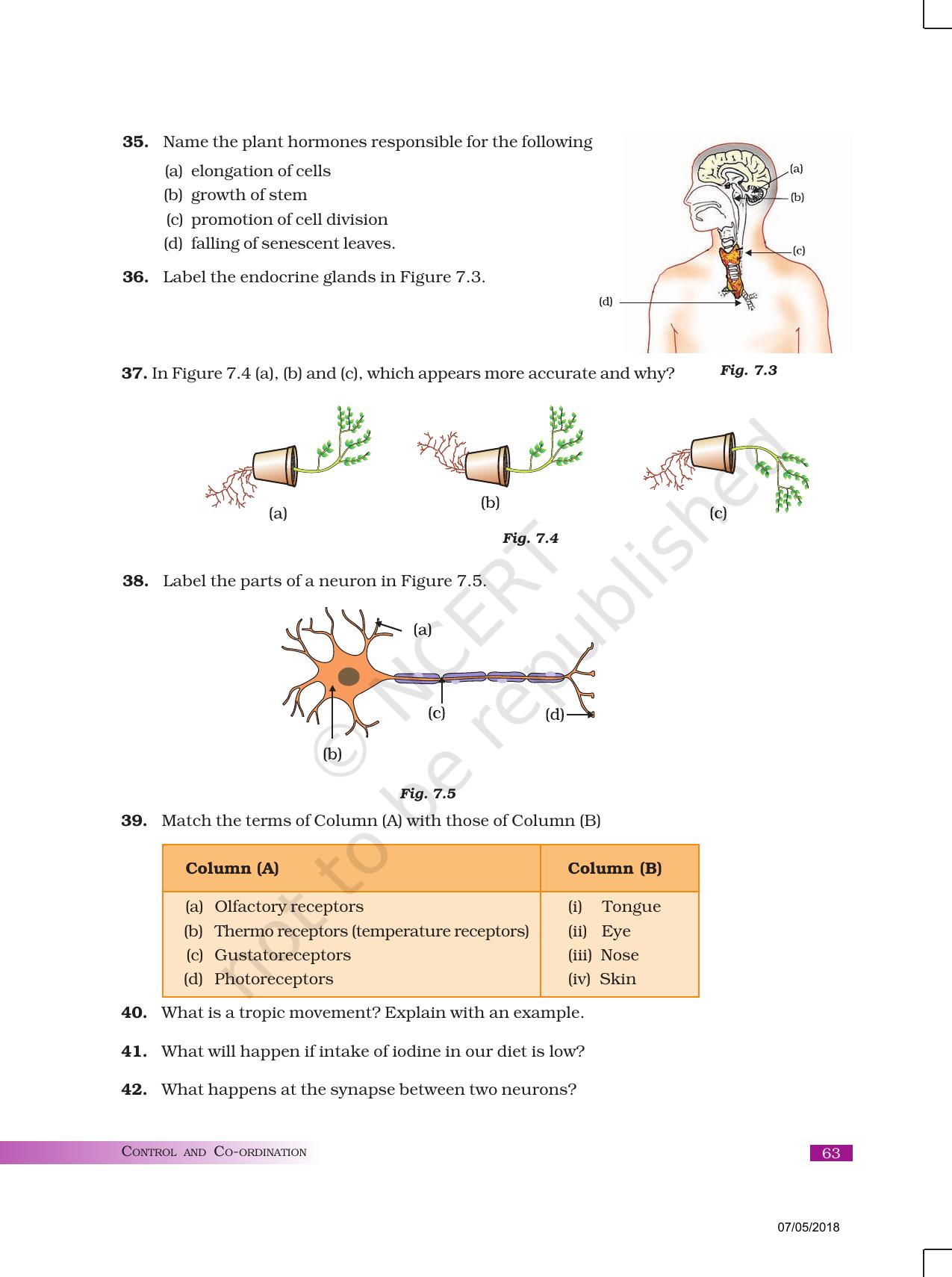 NCERT Exemplar Book for Class 10 Science: Chapter 7 Control and Coordination - Page 7