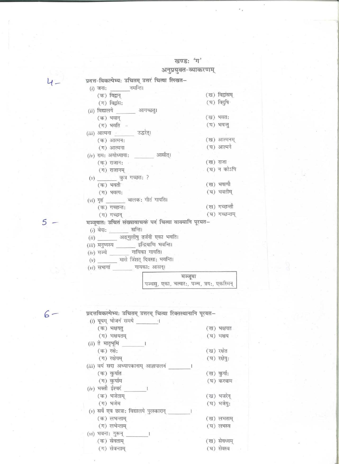 CBSE Worksheets for Class 9 Sanskrit Assignment 4 - Page 3