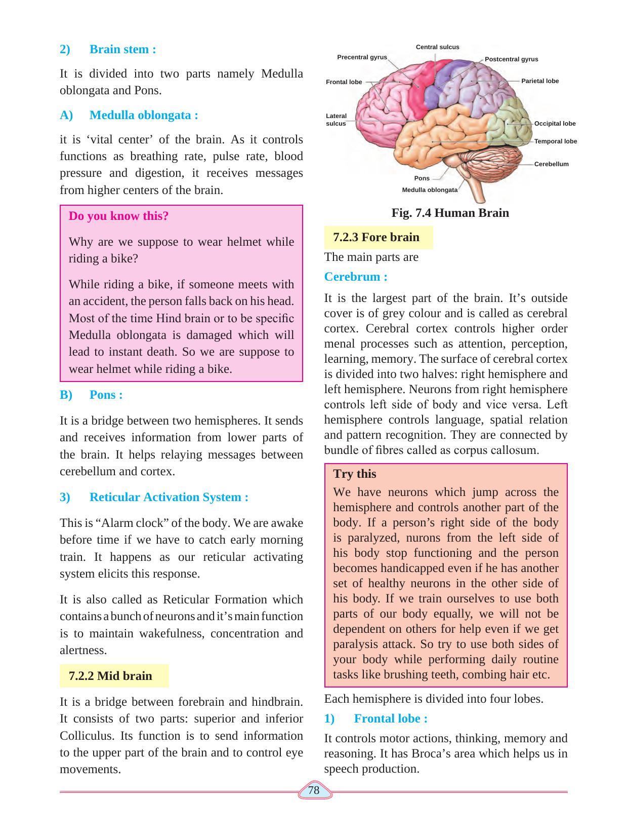 Maharashtra Board Class 11 Psychology Textbook - Page 88