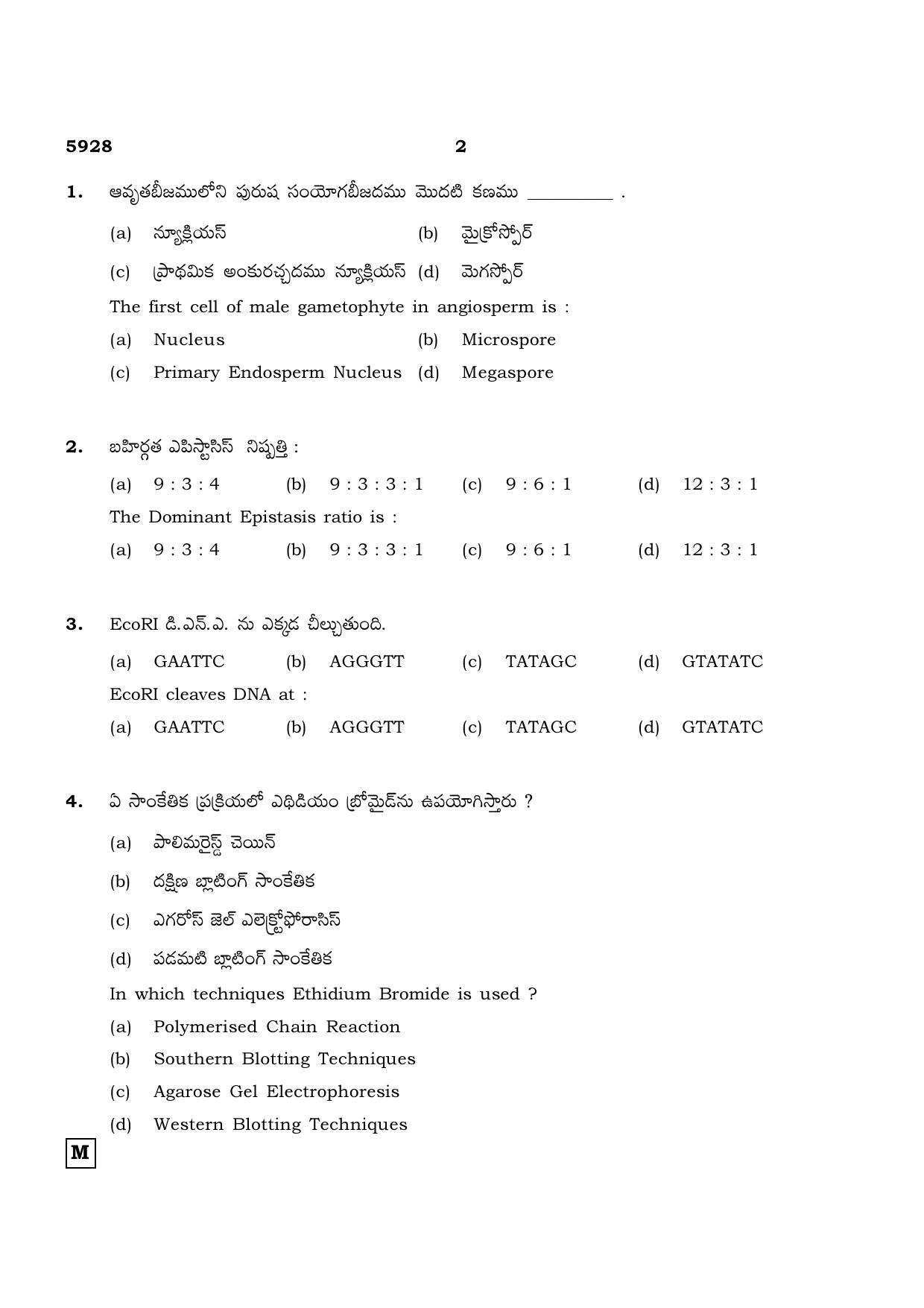 TN Class 12 2022 Question Papers (All Subjects) - Page 743