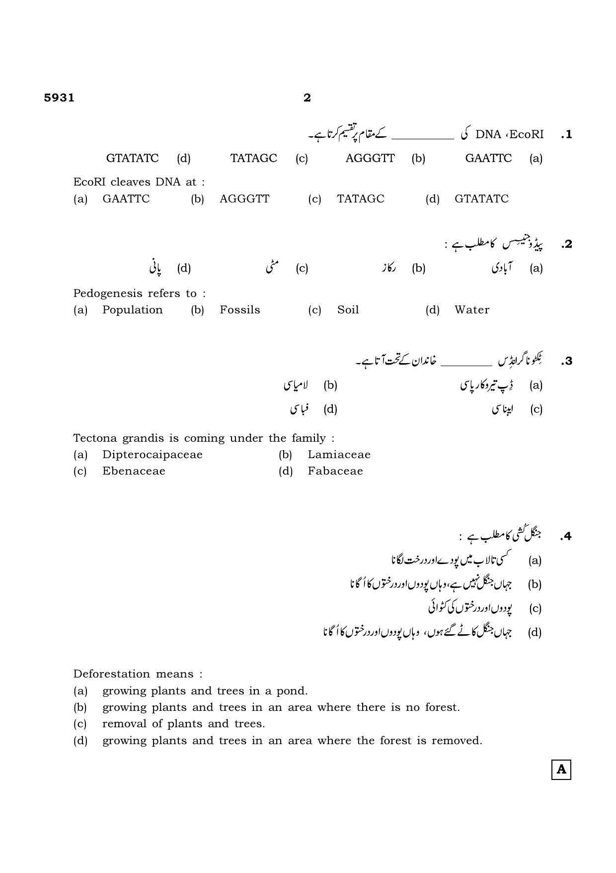 TN Class 12 2022 Question Papers (All Subjects) - Page 826