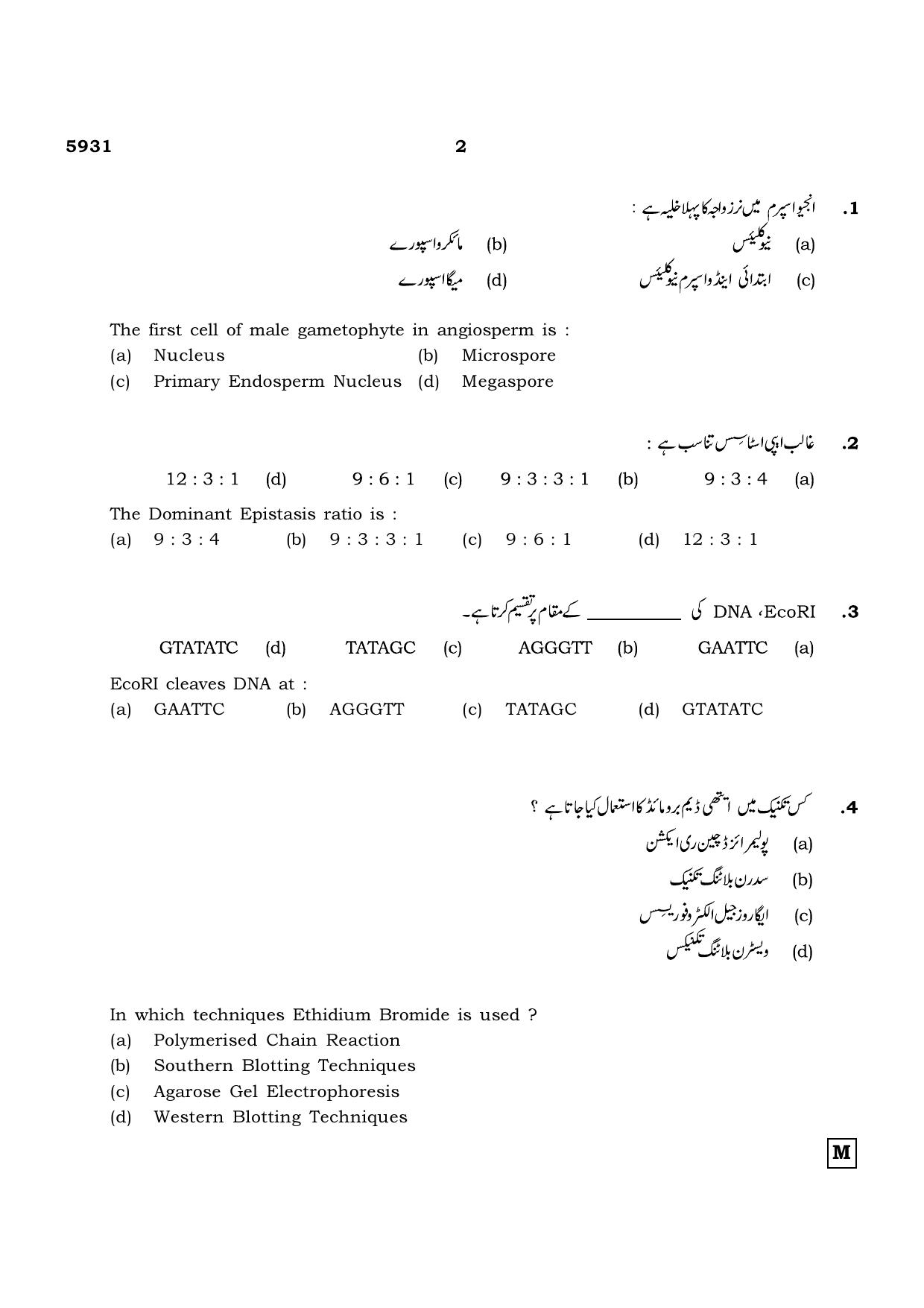 TN Class 12 2022 Question Papers (All Subjects) - Page 850