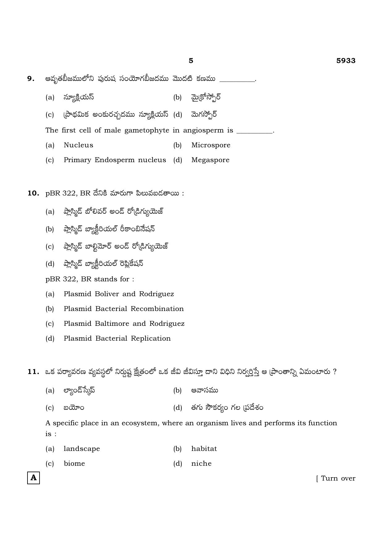 TN Class 12 2022 Question Papers (All Subjects) - Page 901