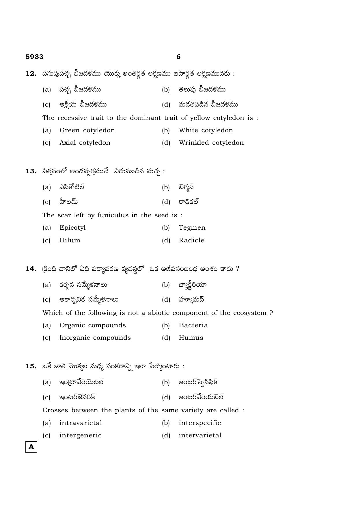 TN Class 12 2022 Question Papers (All Subjects) - Page 902
