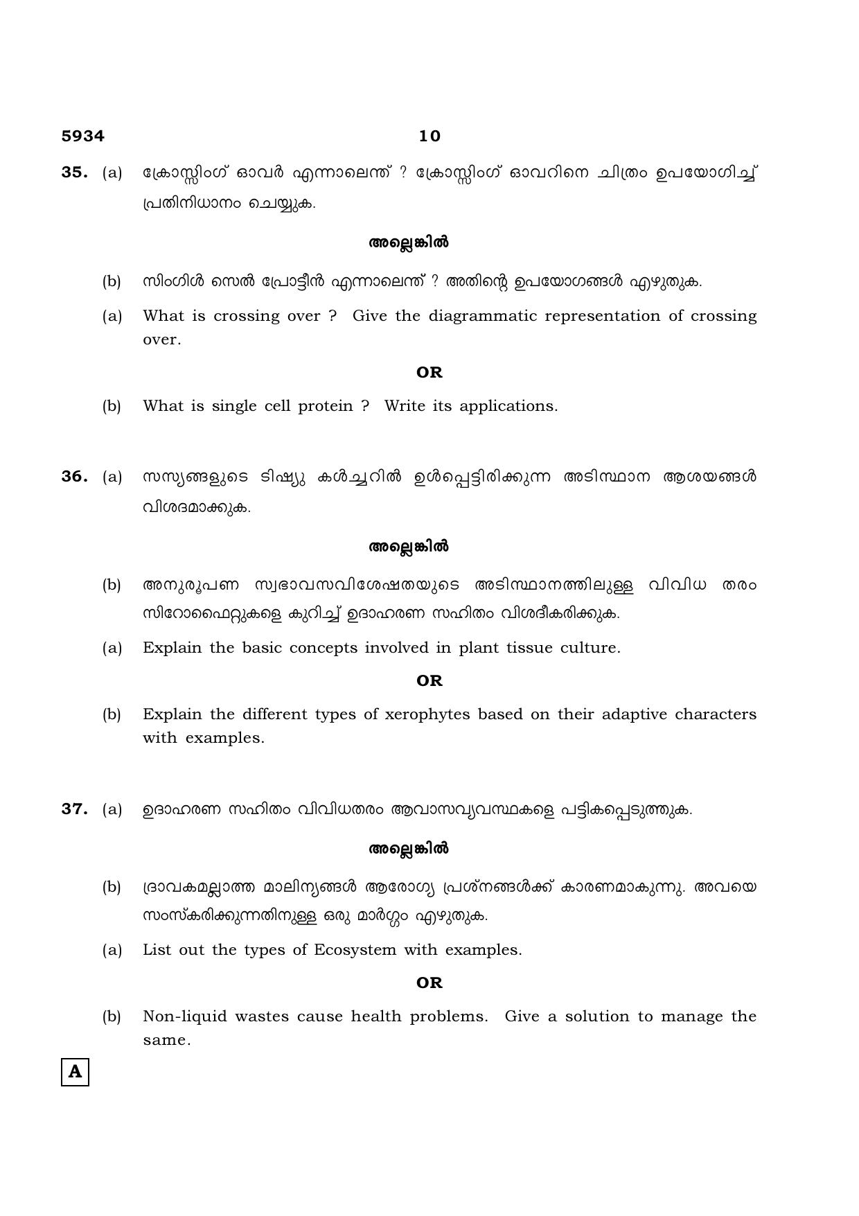 TN Class 12 2022 Question Papers (All Subjects) - Page 942