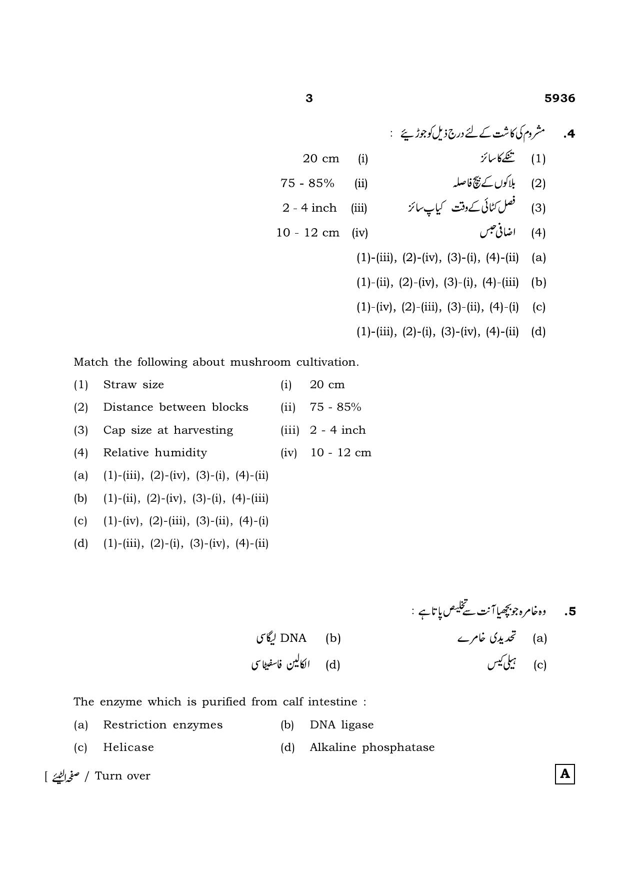 TN Class 12 2022 Question Papers (All Subjects) - Page 1007