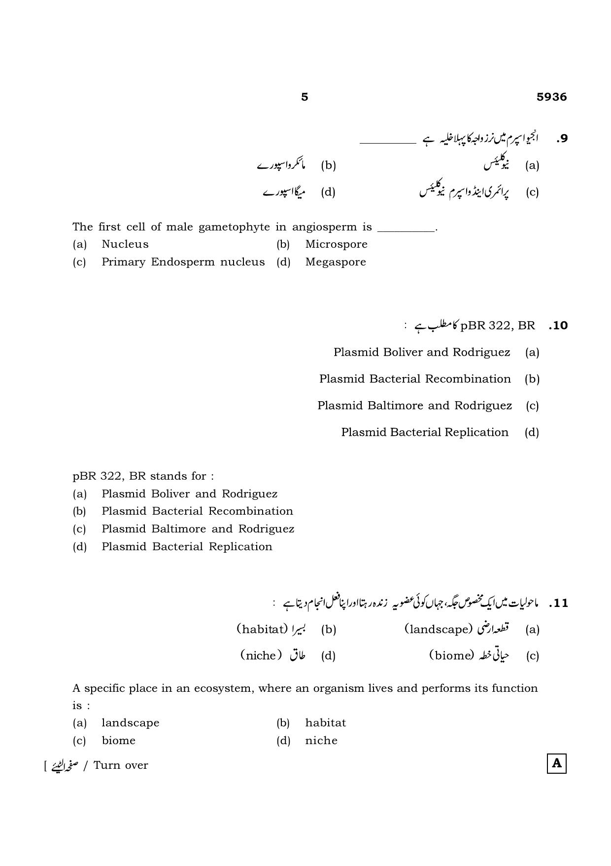 TN Class 12 2022 Question Papers (All Subjects) - Page 1009