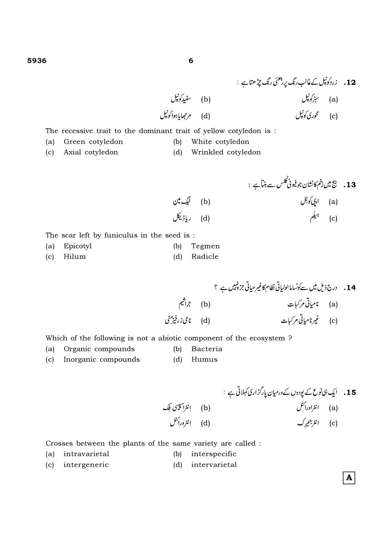 TN Class 12 2022 Question Papers (All Subjects) - Page 1010