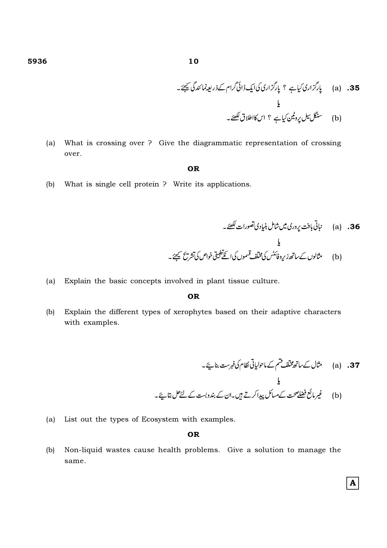 TN Class 12 2022 Question Papers (All Subjects) - Page 1014