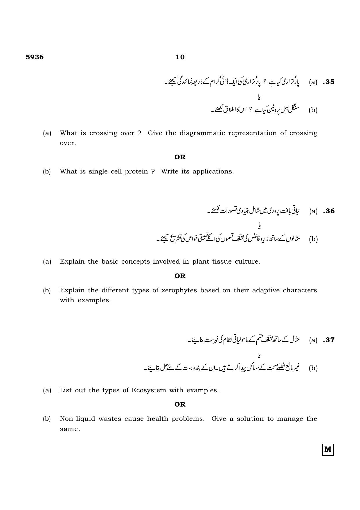 TN Class 12 2022 Question Papers (All Subjects) - Page 1038