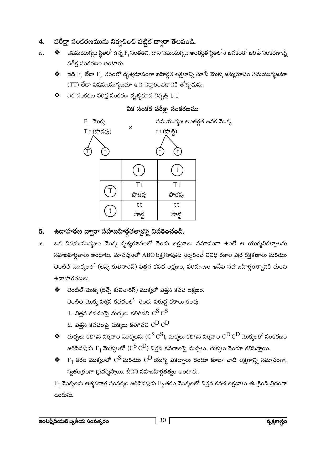 TS SCERT Inter 2nd Year Botany Path 1 (Telugu Medium) Text Book - Page 31