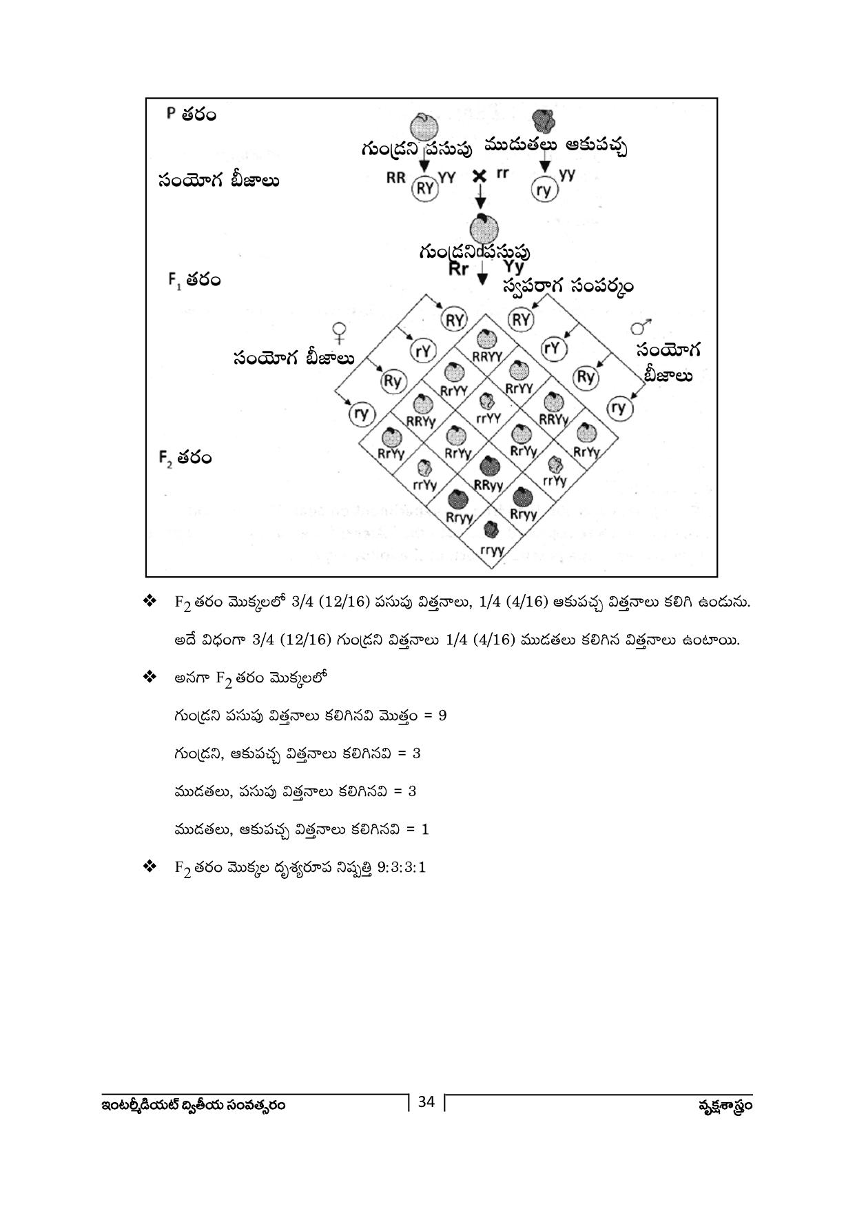 TS SCERT Inter 2nd Year Botany Path 1 (Telugu Medium) Text Book - Page 35