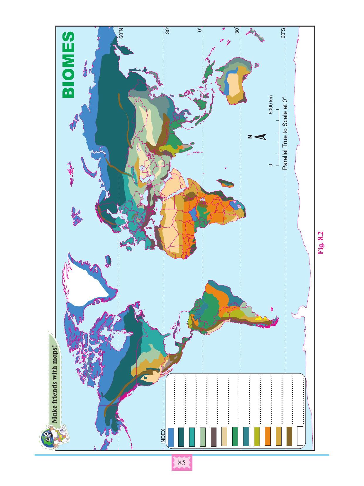 Maharashtra Board Class 11 Geography Textbook - Page 95