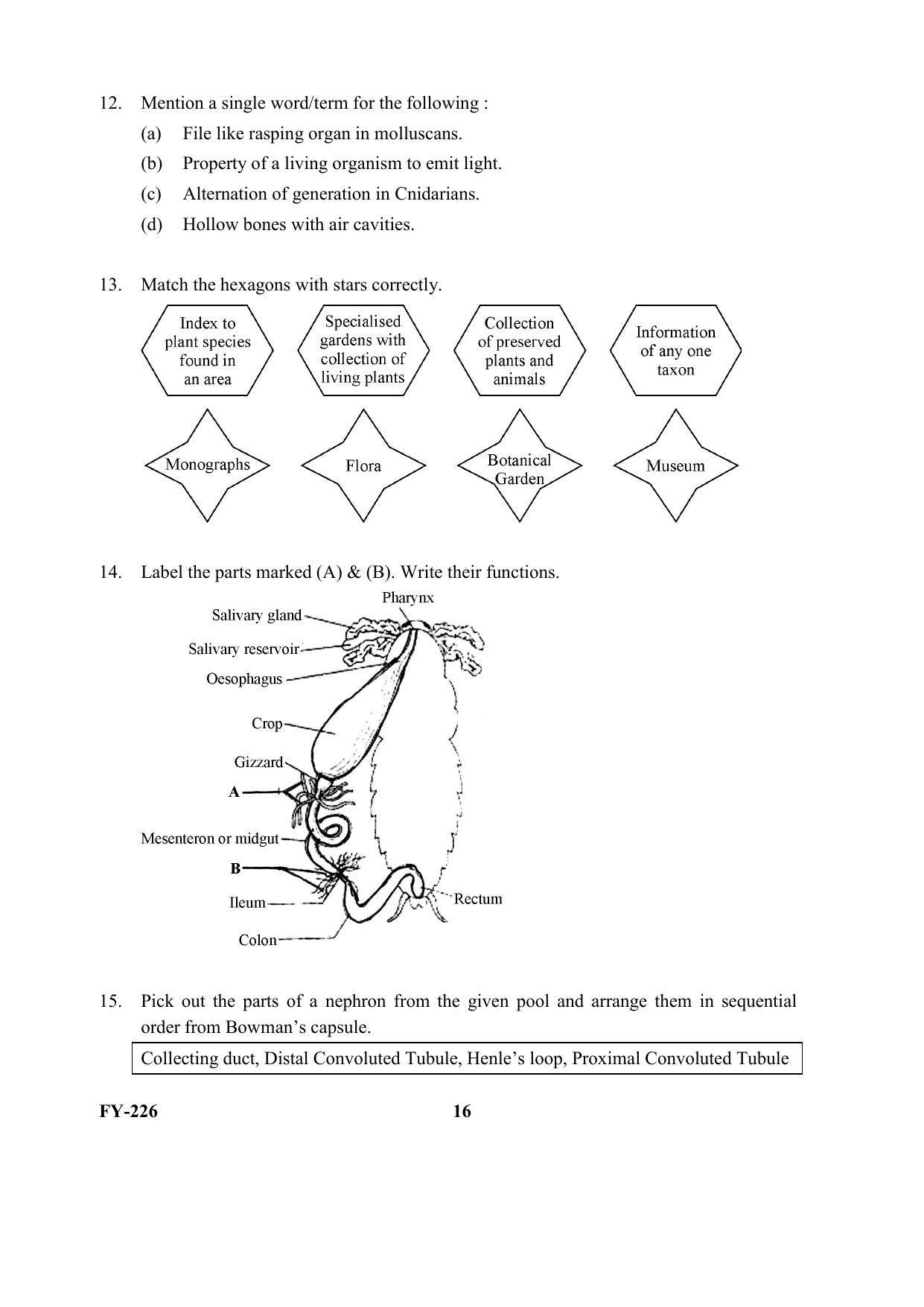 Kerala Plus One (Class 11th) Biology Question Paper 2021 - Page 16