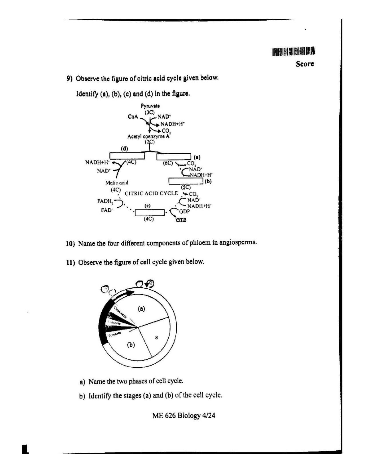 Kerala Plus One 2022 Biology Question Paper (Model) - Page 4