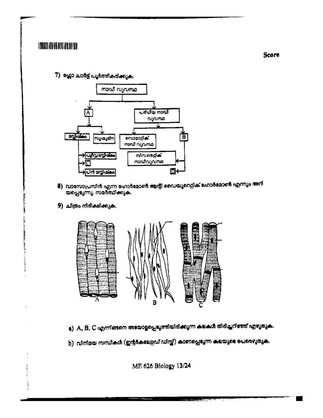 Kerala Plus One 2022 Biology Question Paper (Model) - Page 13
