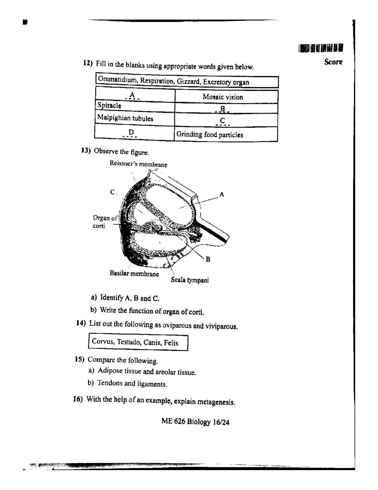 Kerala Plus One 2022 Biology Question Paper (Model) - Page 16