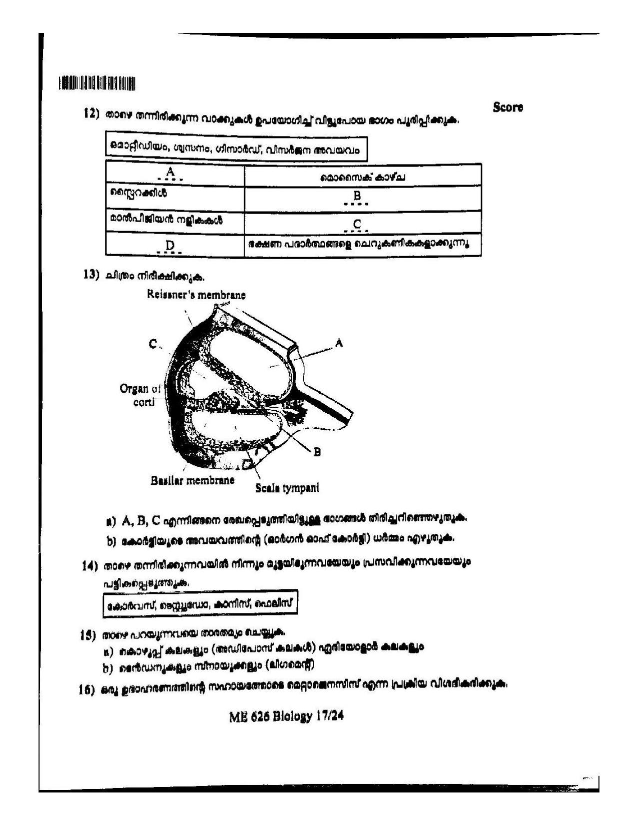Kerala Plus One 2022 Biology Question Paper (Model) - Page 17