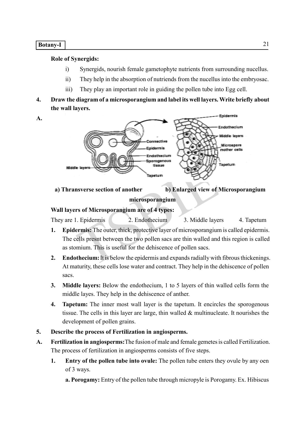 TS SCERT Inter 1st Year Botany Path 1 (English Medium) Text Book - Page 26