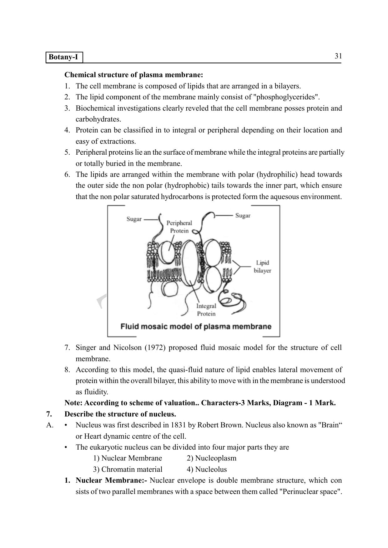 TS SCERT Inter 1st Year Botany Path 1 (English Medium) Text Book - Page 36