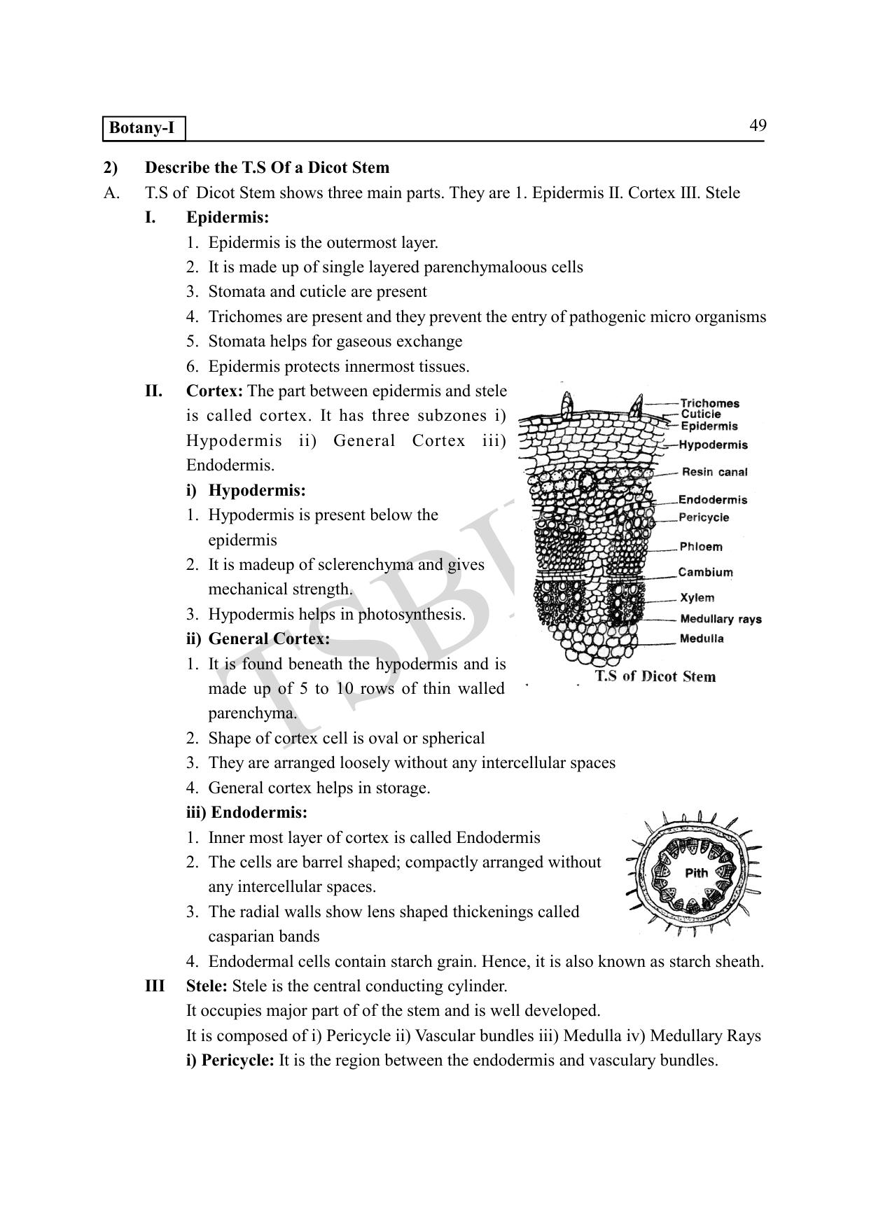 TS SCERT Inter 1st Year Botany Path 1 (English Medium) Text Book - Page 54