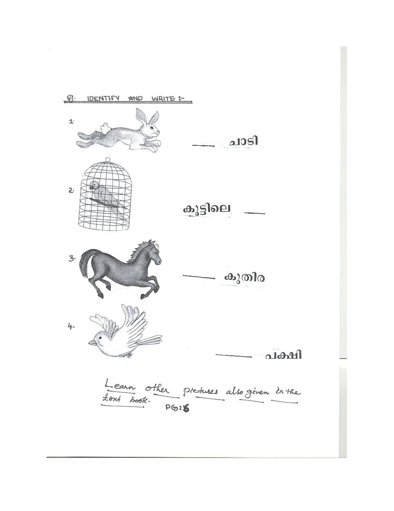 Worksheet for Class 3 Malyalam Assignment 2 - Page 6
